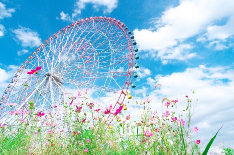 遊園地や水族館…レジャーにお得な優待特典！