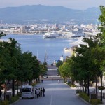タイムズカープラスが函館に初進出!いま北海道でカーシェアリングが拡大中!